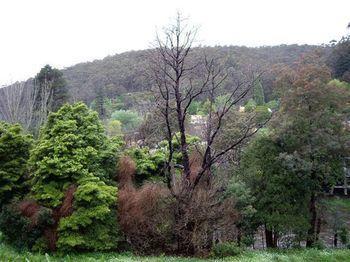 Charnwood In Bed & Breakfast